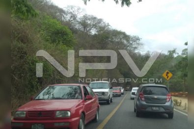 Seguridad Bahia de Banderas ·145