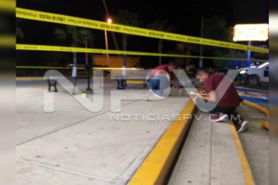 Seguridad Bahia de Banderas ·146