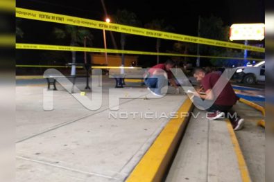 Seguridad Bahia de Banderas ·146