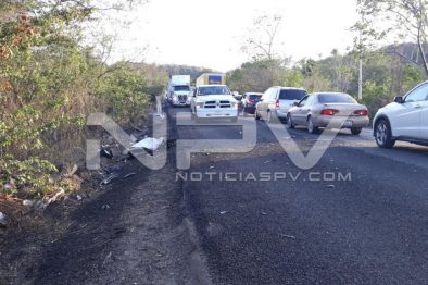 Seguridad Bahia de Banderas ·154