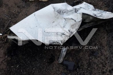 Seguridad Bahia de Banderas ·155