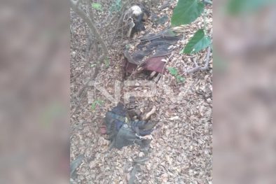 Seguridad Bahia de Banderas ·23