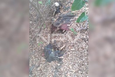 Seguridad Bahia de Banderas ·23