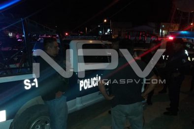 Seguridad Bahia de Banderas ·31