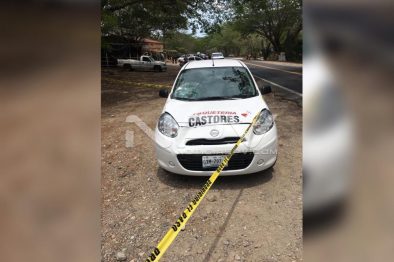 Seguridad Bahia de Banderas ·334