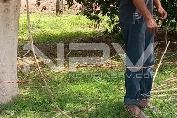 Seguridad Bahia de Banderas ·438