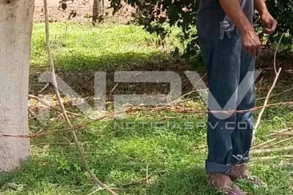 Seguridad Bahia de Banderas ·438