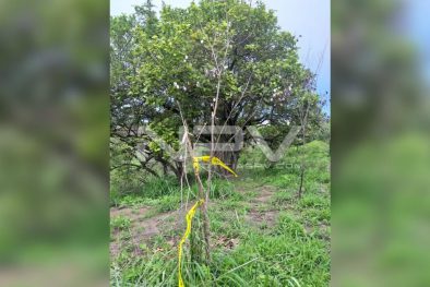 Seguridad Bahia de Banderas ·451