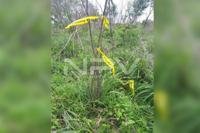 Seguridad Bahia de Banderas ·452