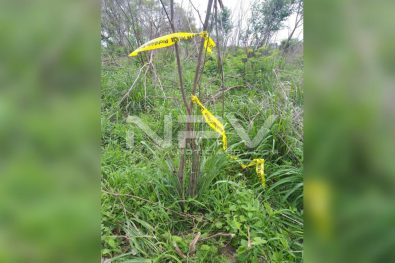 Seguridad Bahia de Banderas ·452