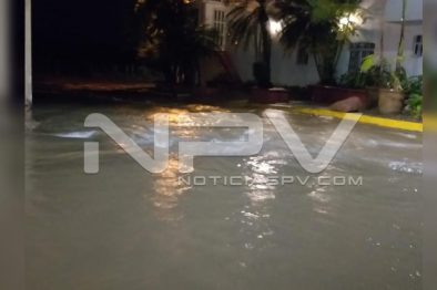 Seguridad Bahia de Banderas ·667