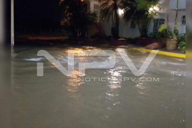 Seguridad Bahia de Banderas ·667