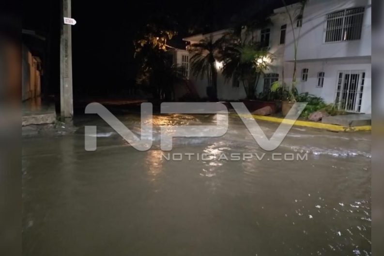 Seguridad Bahia de Banderas ·668