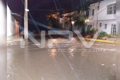 Seguridad Bahia de Banderas ·669