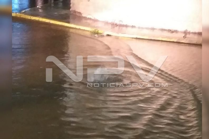 Seguridad Bahia de Banderas ·672