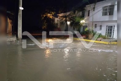 Seguridad Bahia de Banderas ·676