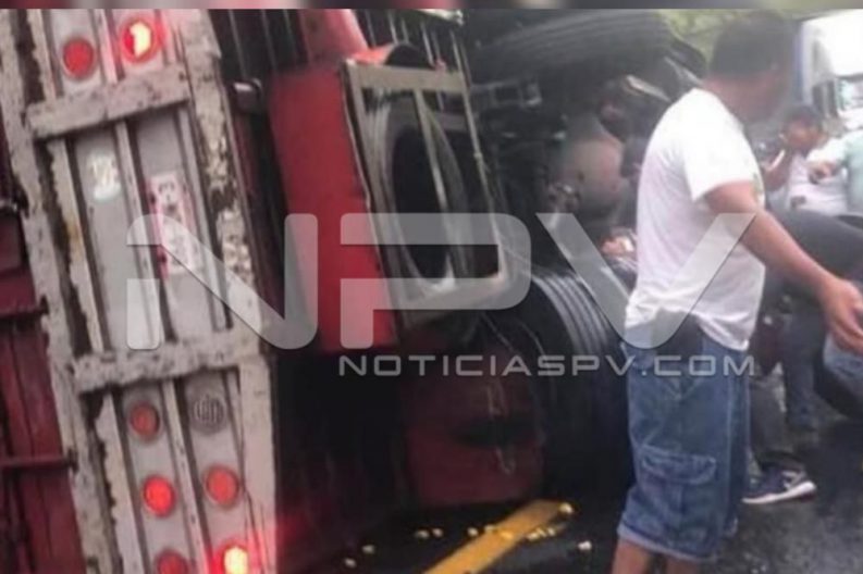 Seguridad Bahia de Banderas ·68