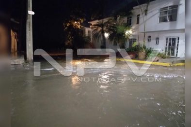 Seguridad Bahia de Banderas ·683