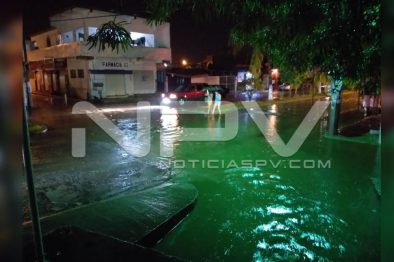 Seguridad Bahia de Banderas ·684