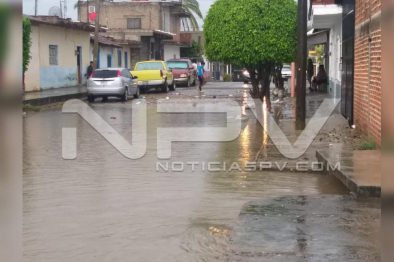 Seguridad Bahia de Banderas ·71