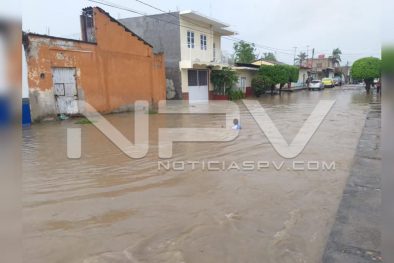 Seguridad Bahia de Banderas ·72