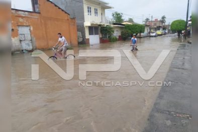 Seguridad Bahia de Banderas ·73