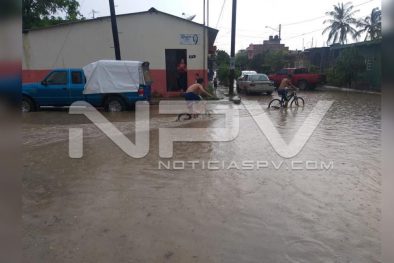 Seguridad Bahia de Banderas ·74