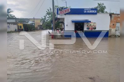 Seguridad Bahia de Banderas ·75