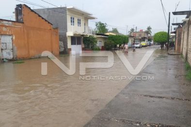 Seguridad Bahia de Banderas ·76