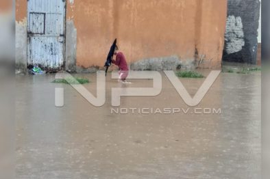 Seguridad Bahia de Banderas ·78