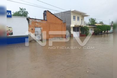 Seguridad Bahia de Banderas ·79