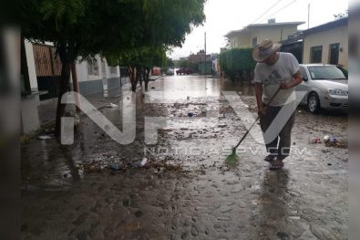 Seguridad Bahia de Banderas ·81