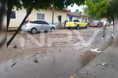 Seguridad Bahia de Banderas ·83