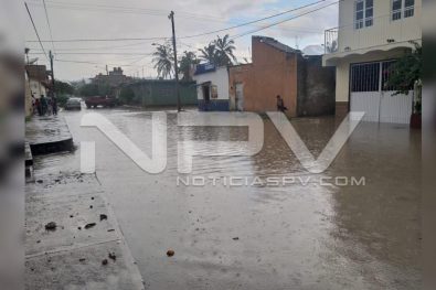 Seguridad Bahia de Banderas ·86