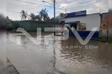 Seguridad Bahia de Banderas ·88