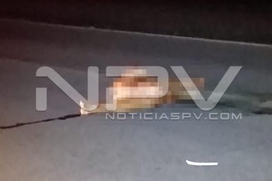 Seguridad Bahia de Banderas ·916