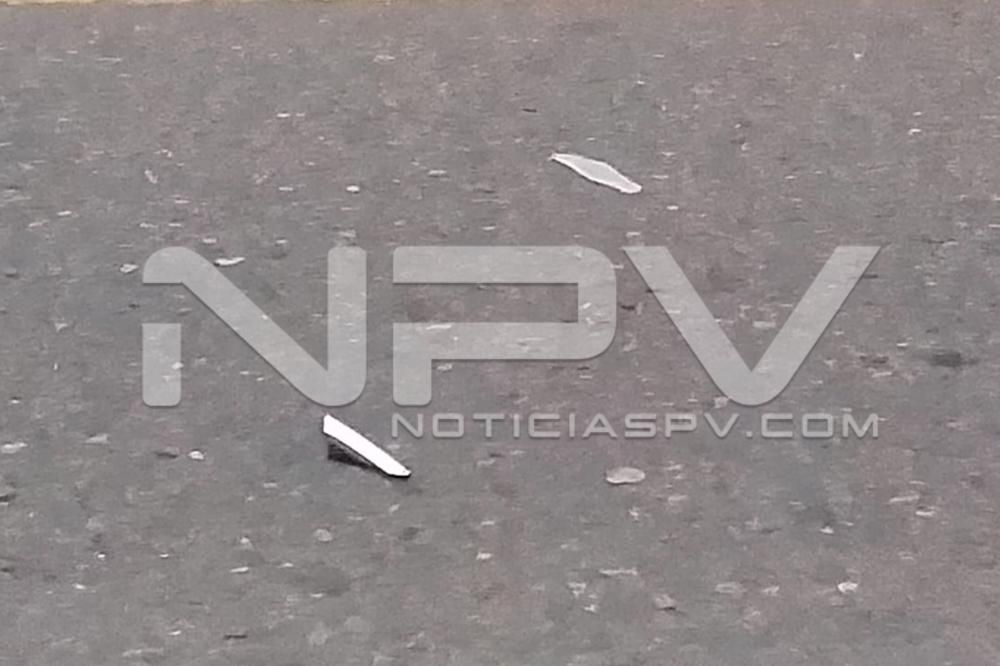 Seguridad Bahia de Banderas ·921