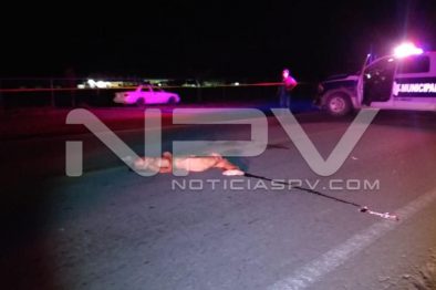 Seguridad Bahia de Banderas ·931