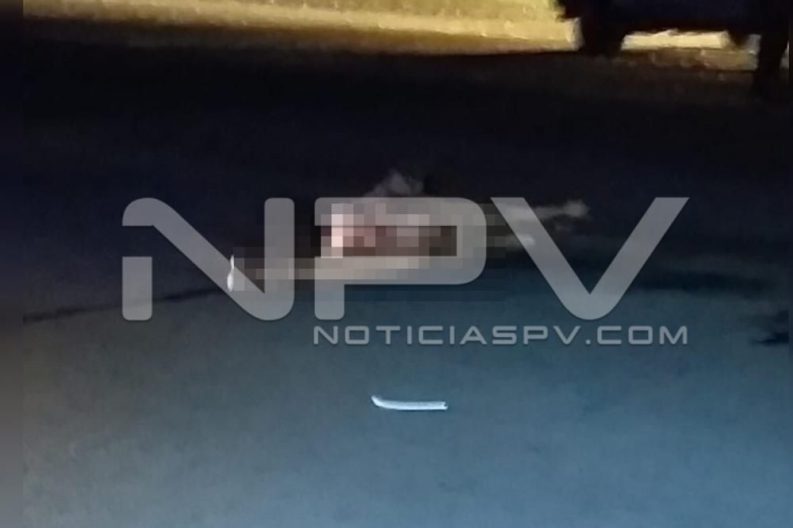 Seguridad Bahia de Banderas ·939