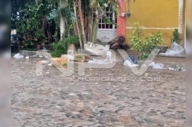 Seguridad Bahia de Banderas ·94