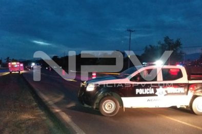 Seguridad Bahia de Banderas ·946