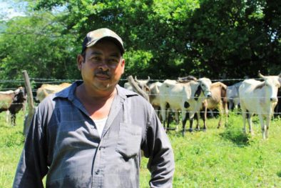 COMUNICADO 229