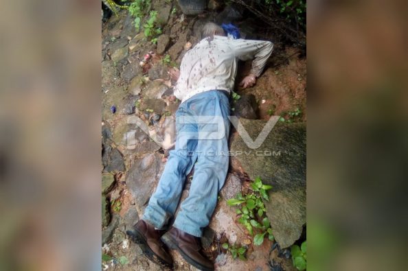 InShot_20190831_163344076