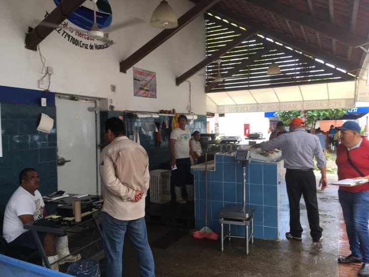 PESCA BAHIA RECORRIDO (1)