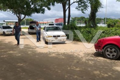 Seguridad 1305