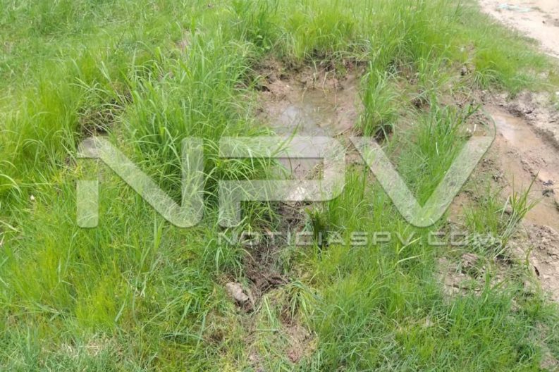 Seguridad Bahia de Banderas ·1445