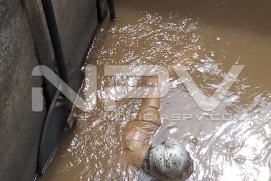 Seguridad Bahia de Banderas ·1606