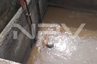 Seguridad Bahia de Banderas ·1610