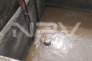 Seguridad Bahia de Banderas ·1610