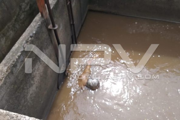 Seguridad Bahia de Banderas ·1610